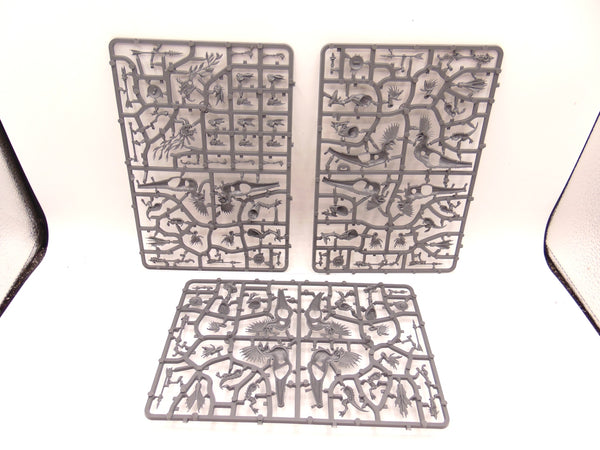 Raptadon Chargers / Hunters