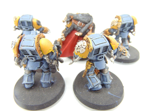 Wolf Guard Terminators
