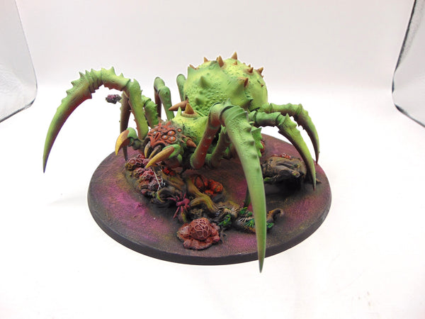 Skitterstrand Arachnarok