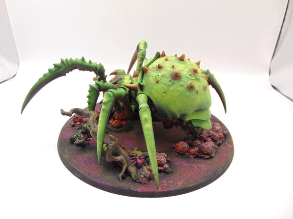 Skitterstrand Arachnarok