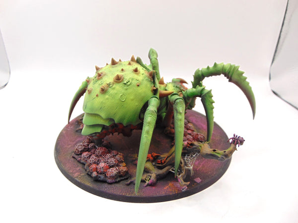 Skitterstrand Arachnarok