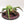 Skitterstrand Arachnarok