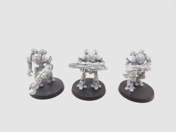 Thallax Cohort