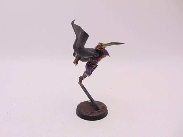 Shadowblade / Assassin