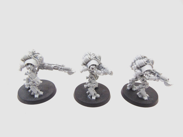 Thallax Cohort