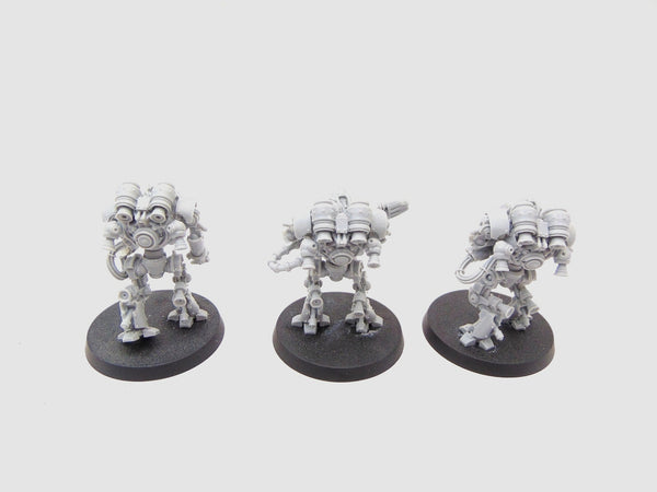 Thallax Cohort