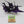 Ravager