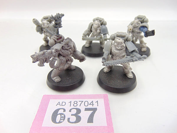 Wolf Pack with Wolf Guard / Sergeat