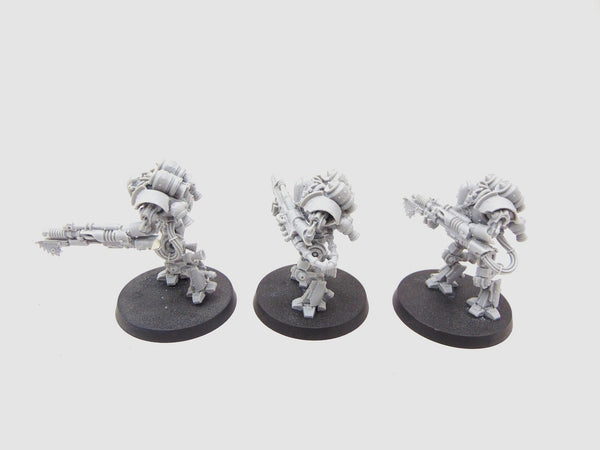 Thallax Cohort