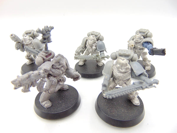 Wolf Pack with Wolf Guard / Sergeat