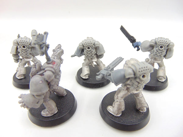 Wolf Pack with Wolf Guard / Sergeat