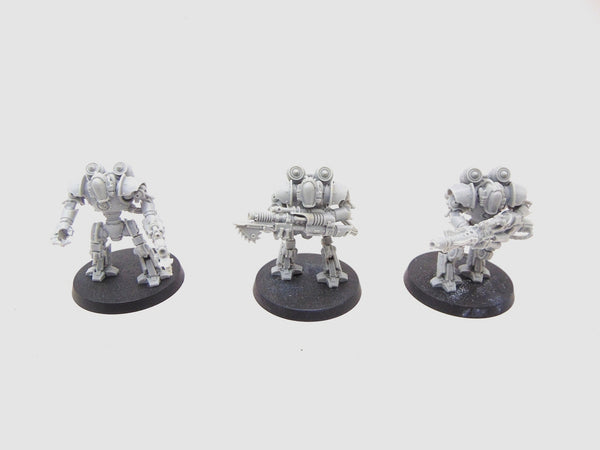 Thallax Cohort