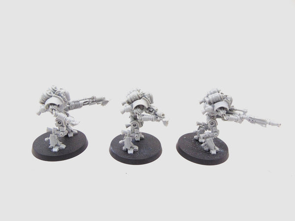 Thallax Cohort