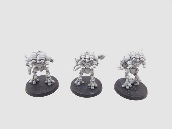 Thallax Cohort