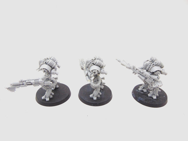 Thallax Cohort