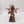 Ghorgon