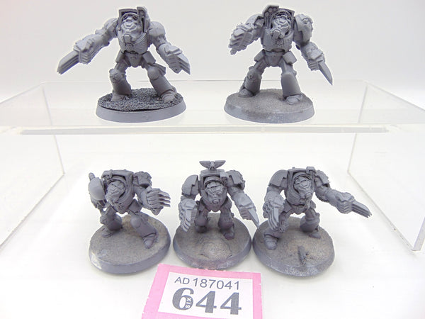 Terminator Assault Squad