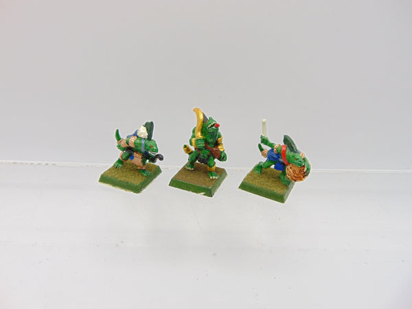 Skinks including Champion and Musician