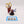 Acolyte Iconward