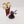 Acolyte Iconward