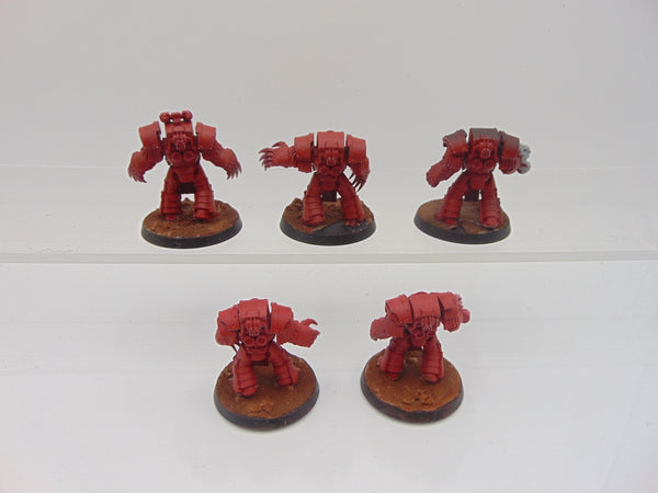 Cataphractii Terminator Squad