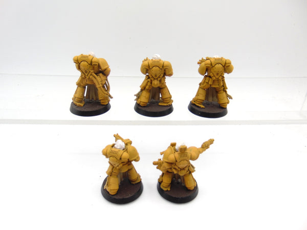 Sternguard Veterans