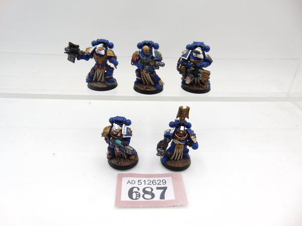 Sternguard Veterans