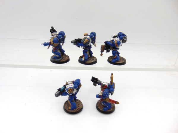 Sternguard Veterans