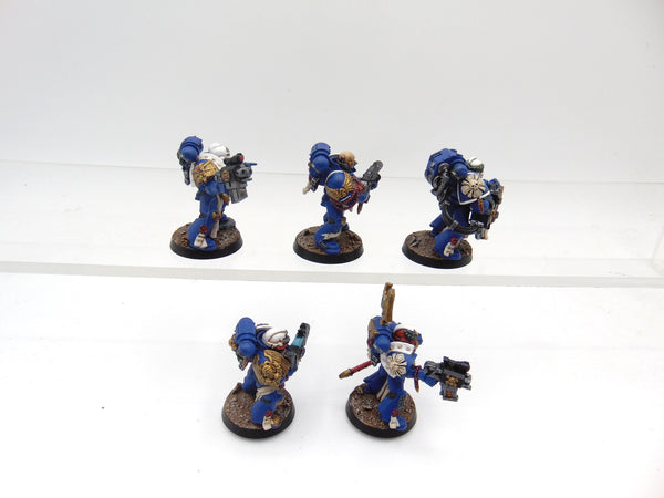 Sternguard Veterans