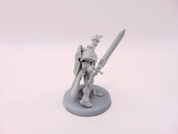 Knight Questor