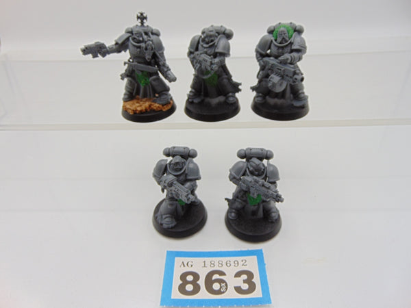 Sternguard Veterans