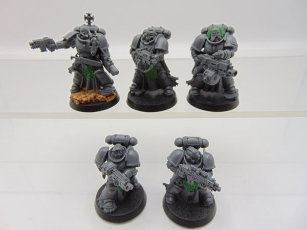 Sternguard Veterans