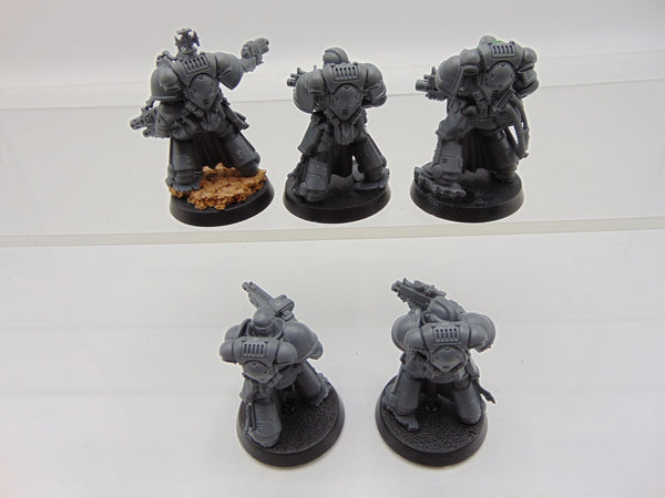 Sternguard Veterans