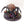 Skitterstrand Arachnarok