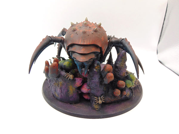 Skitterstrand Arachnarok