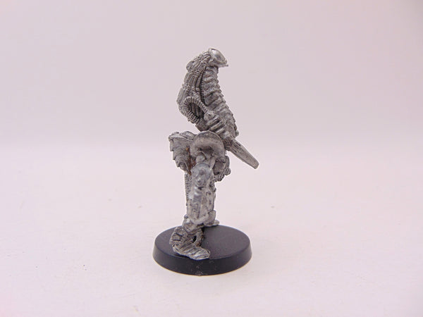 Phoenix Lord Karandras