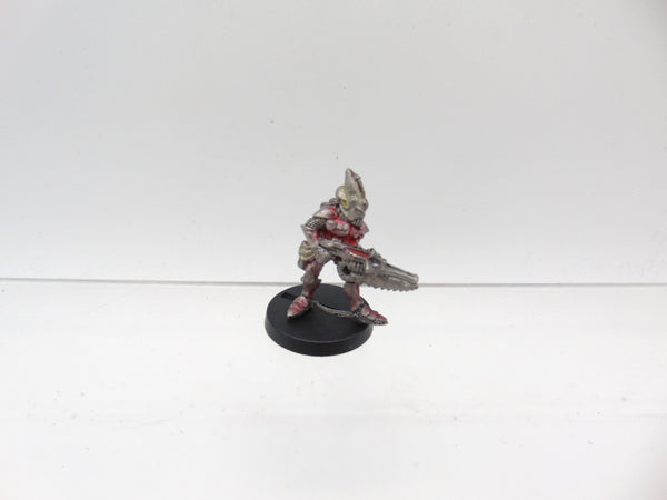 Space Elf Standard Bearer Menhe Worldsong