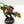 Converted Company Standard Bearer / Ancient