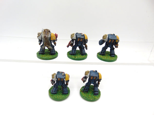 Wolf Guard Terminators