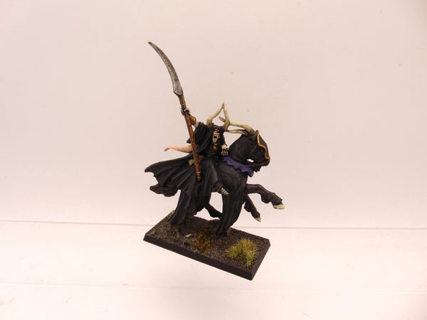 Sorcerer Lord on Chaos Steed