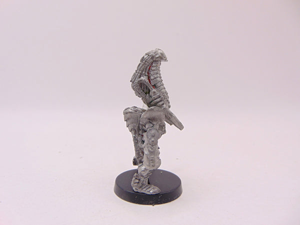 Phoenix Lord Karandras