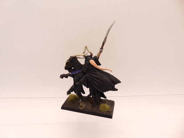Sorcerer Lord on Chaos Steed