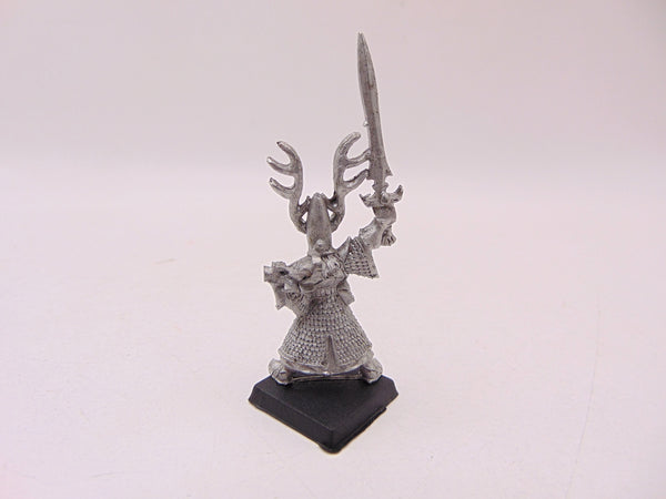 High Elf Hero with Sword