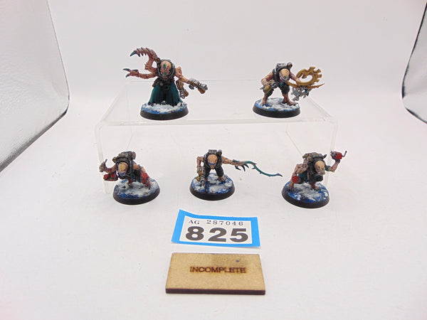 Acolyte Hybrids