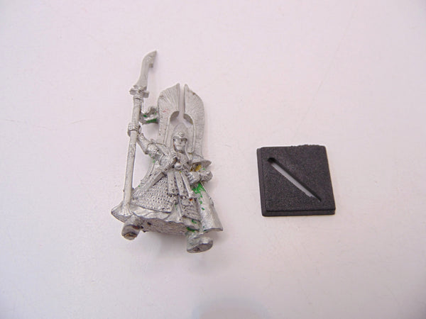Battle Chariot Charioteer