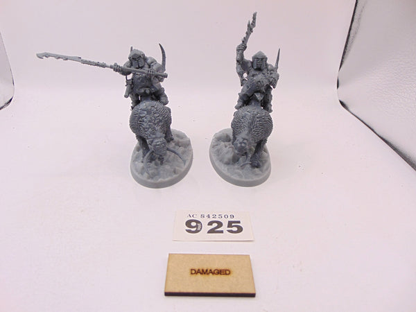 Mournfang Cavalry Pack