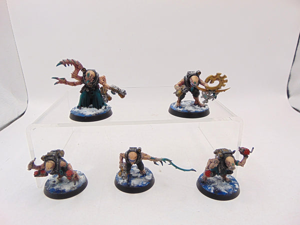 Acolyte Hybrids