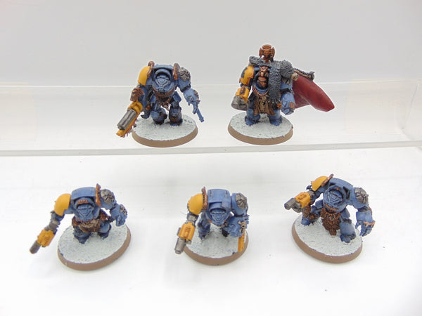 Wolf Guard Terminators