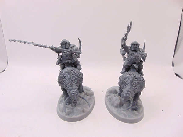 Mournfang Cavalry Pack