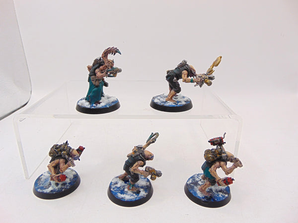 Acolyte Hybrids